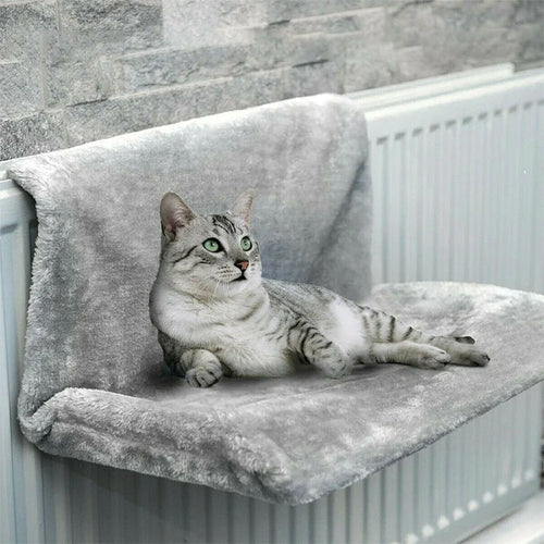 Cat Beds