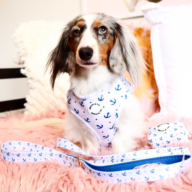 Anchors Aweigh Dog Leash